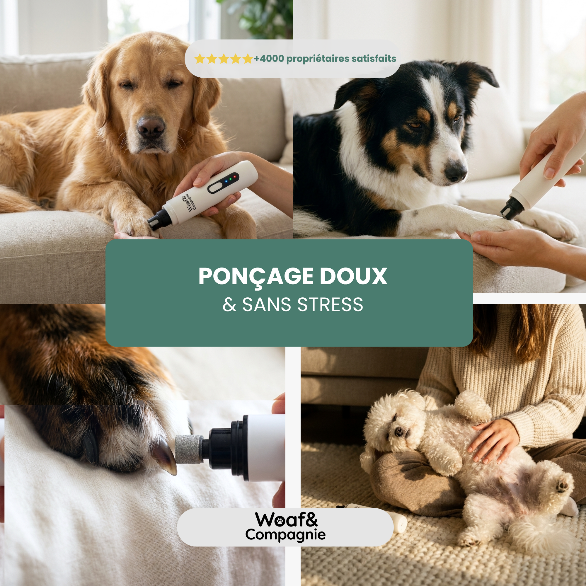 Woaf&Compagnie PawCalm™